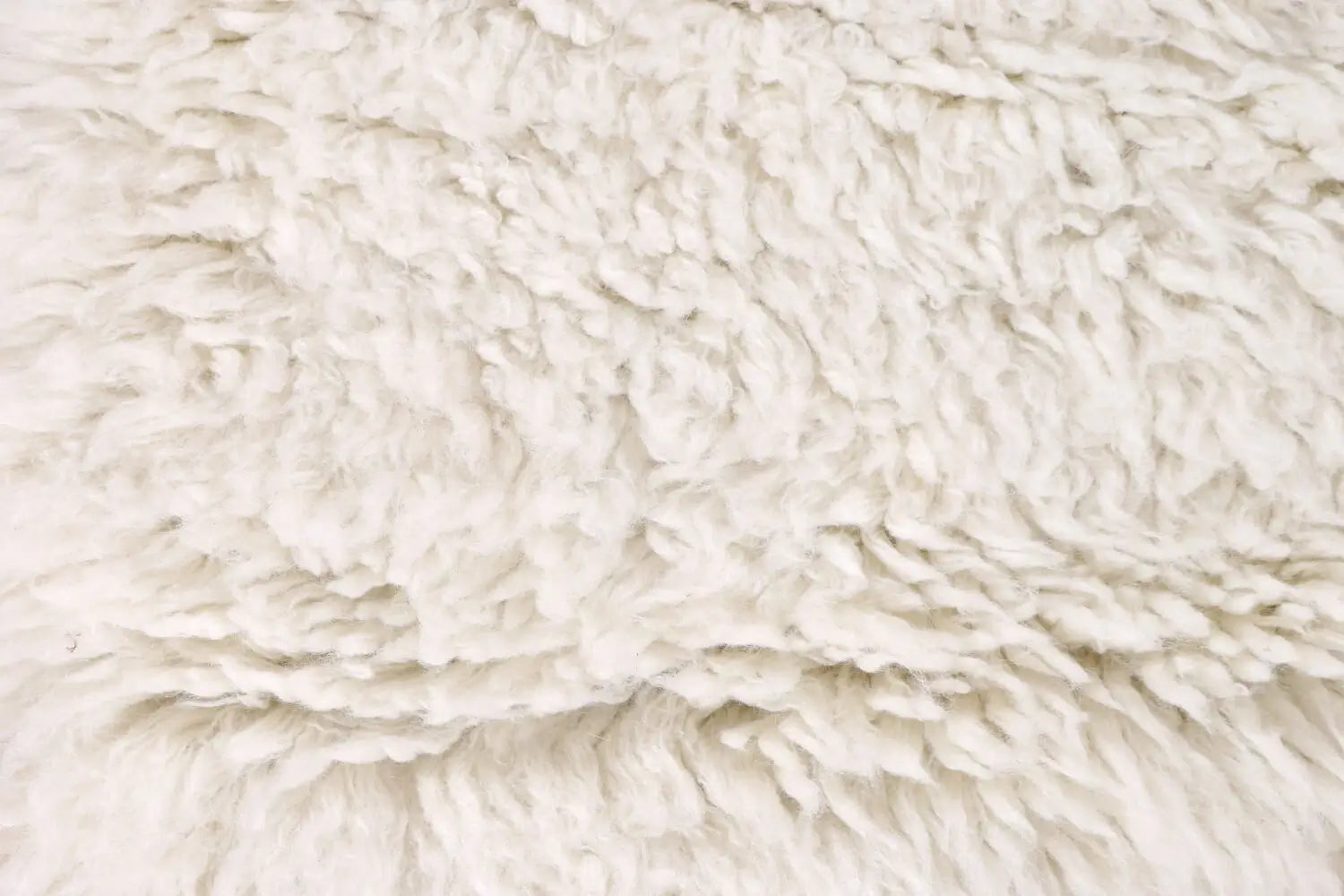Bay wool tufted rug