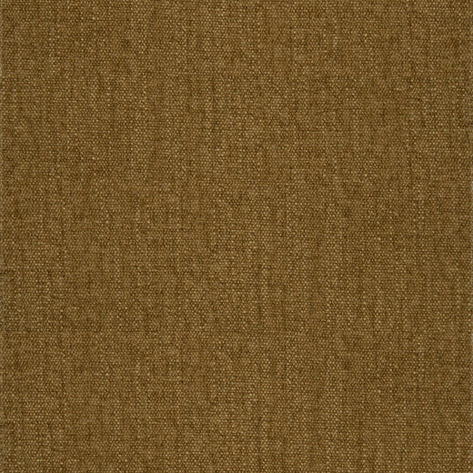 Lina Camel