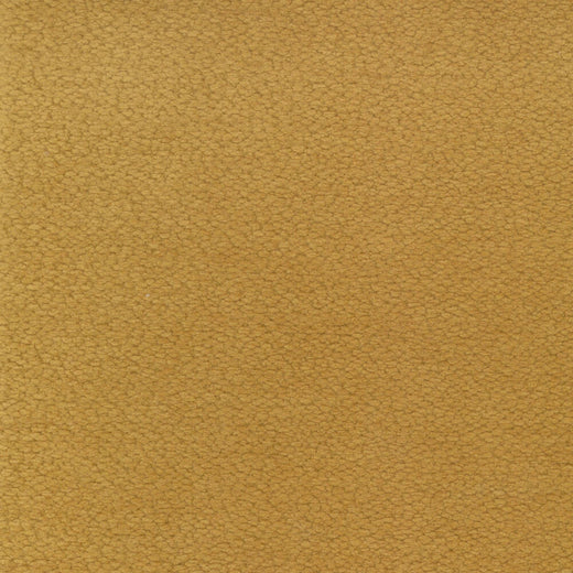 Nube Camel