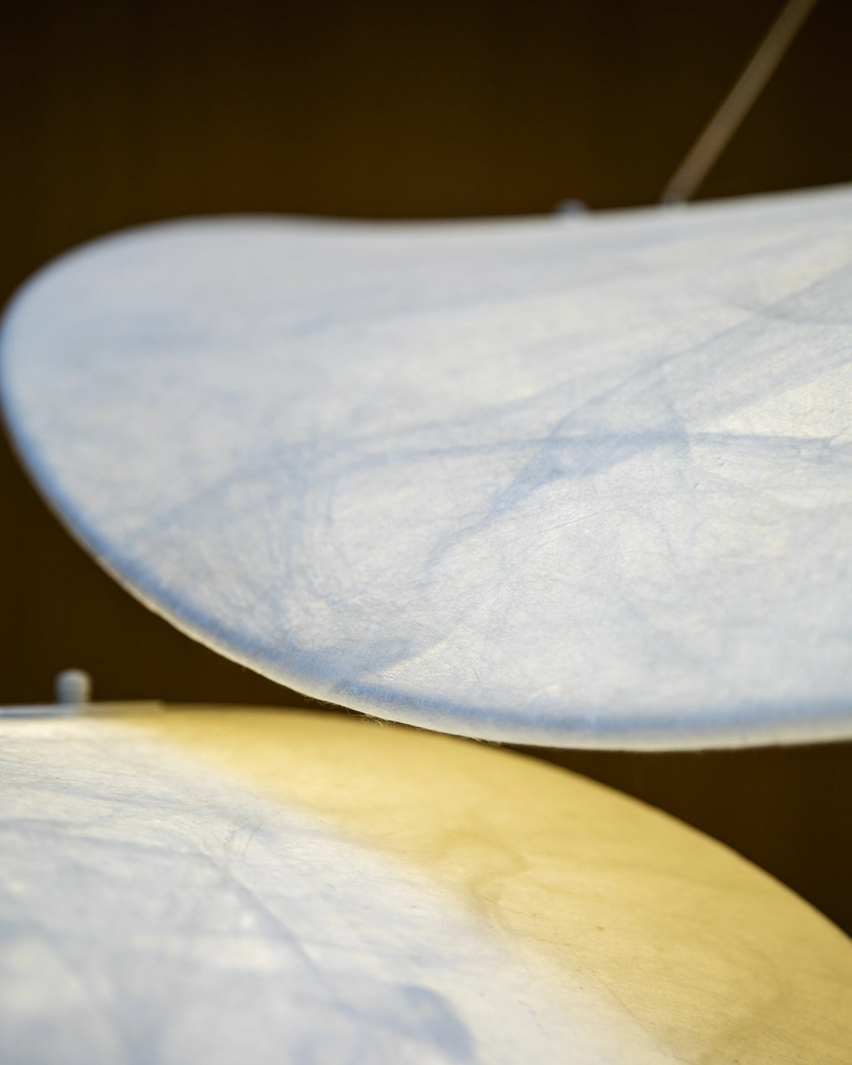 Mobula pendant ceiling lamp 100 x 74 x 20